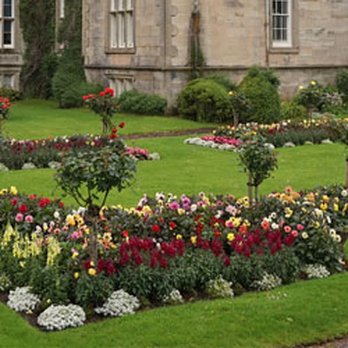 Getting It Done - Spaciousness - Gardeners Near Me Getting It Done - Spaciousness - Gardeners Near Me