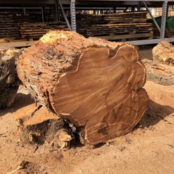 Tumacacori Mesquite - A peek inside a beautiful mesquite tree. The grains are gorgeous.