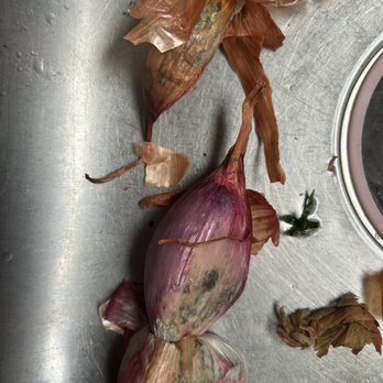 Stop & Shop - Just bought today. Full of mold. - Grocery Near Me - Attleboro, Massachusetts Stop & Shop - Just bought today. Full of mold. - Grocery Near Me - Attleboro, Massachusetts