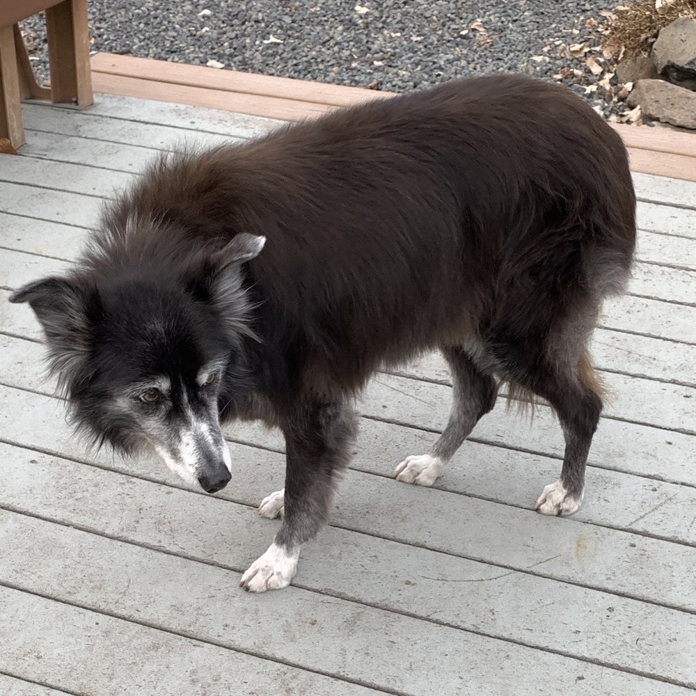15 years old. 15 years old.