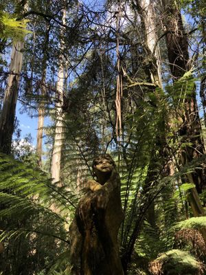 William Ricketts Sanctuary by null
