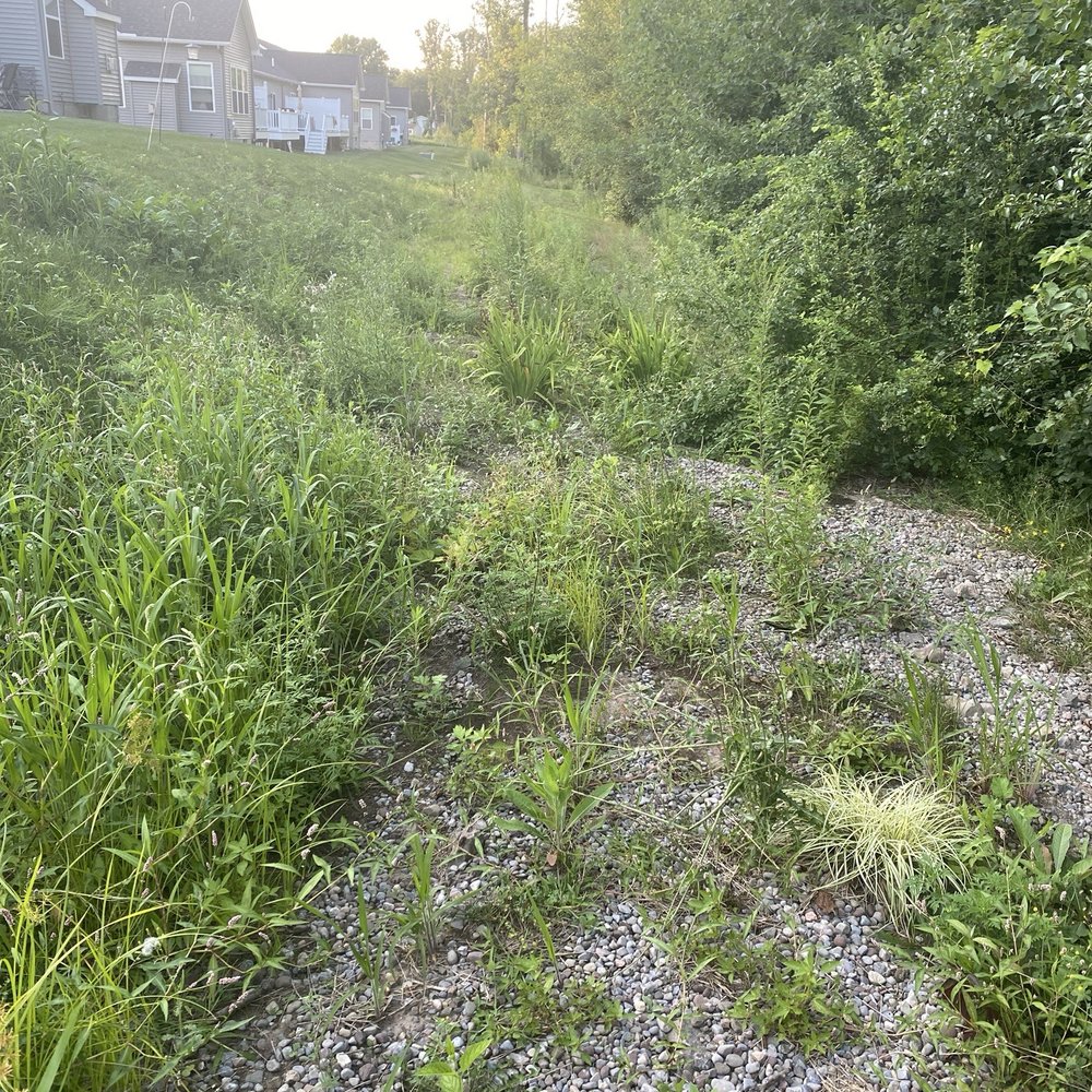Greenlight Networks - Clean it up!!!! - Internet Service Providers Near Me - Rochester, New York Greenlight Networks - Clean it up!!!! - Internet Service Providers Near Me - Rochester, New York