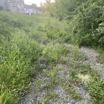 Greenlight Networks - Clean it up!!!! - Internet Service Providers Near Me - Rochester, New York Greenlight Networks - Clean it up!!!! - Internet Service Providers Near Me - Rochester, New York