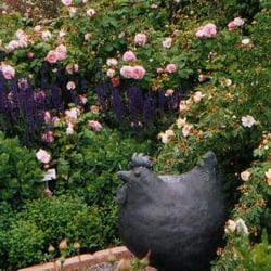 Historische Rosengärten - ein Eindruck aus dem Rosengarten