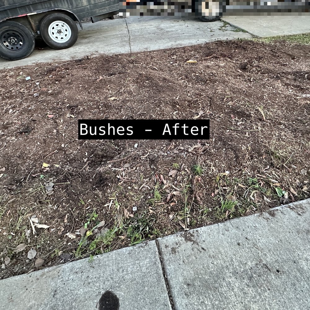 Rivas Tree Services - Tree Services Near Me Rivas Tree Services - Tree Services Near Me
