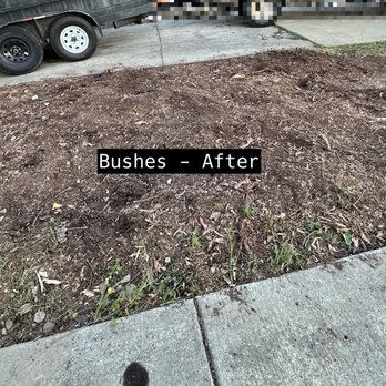 Rivas Tree Services - Tree Services Near Me Rivas Tree Services - Tree Services Near Me