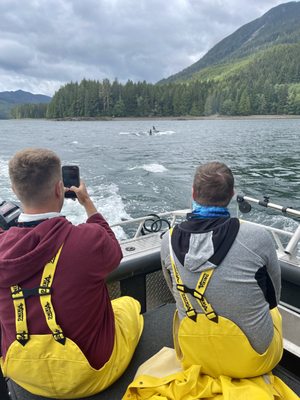 Haida Gwaii Fishing Charters by null