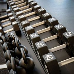 Agile Physical Therapy - Brand new weights