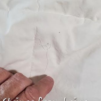 Village Green Cleaners - Threads coming a part for same reason - Laundry Services Near Me - Decatur, Indiana Village Green Cleaners - Threads coming a part for same reason - Laundry Services Near Me - Decatur, Indiana