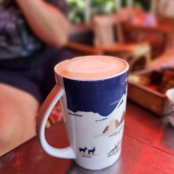 Tōv - Nectar of Gods - the best! - Coffee & Tea Near Me - Portland, Oregon Tōv - Nectar of Gods - the best! - Coffee & Tea Near Me - Portland, Oregon