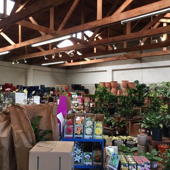 Sloat Garden Center - Complete garden center in the Inner Richmond- convenient! - Nurseries & Gardening Near Me - San Francisco, California Sloat Garden Center - Complete garden center in the Inner Richmond- convenient! - Nurseries & Gardening Near Me - San Francisco, California