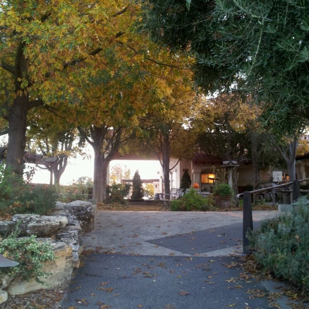 Castoro Cellars - Wineries Near Me - Templeton, California Castoro Cellars - Wineries Near Me - Templeton, California
