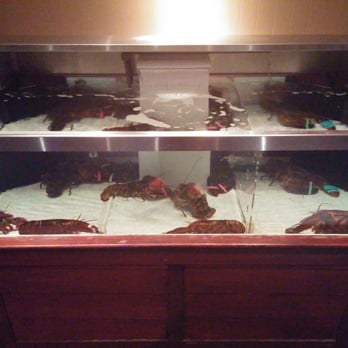 Red Lobster - Live Red Lobster in tank! - Seafood Near Me - Merrillville, Indiana