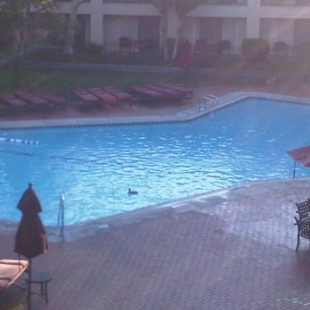 Clear BLU Pool Care - Commercial pools too! - Pool Cleaners Near Me - Palo Alto, California Clear BLU Pool Care - Commercial pools too! - Pool Cleaners Near Me - Palo Alto, California