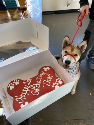 Gentile Brewing Company by null