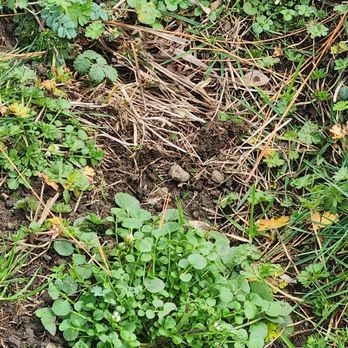 Farrow Landscape - Same - Landscaping Near Me