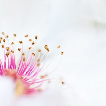 ひたち野プレス Print Media 栄町1 34 牛久市 茨城県 Japan Phone Number Yelp