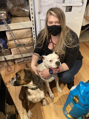 New England Dog Biscuit Company by null