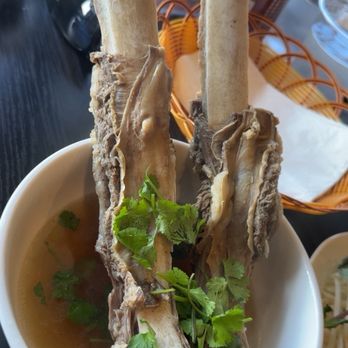 Moc Kitchen pho and grill - Noodles Near Me - Santa Ana, California