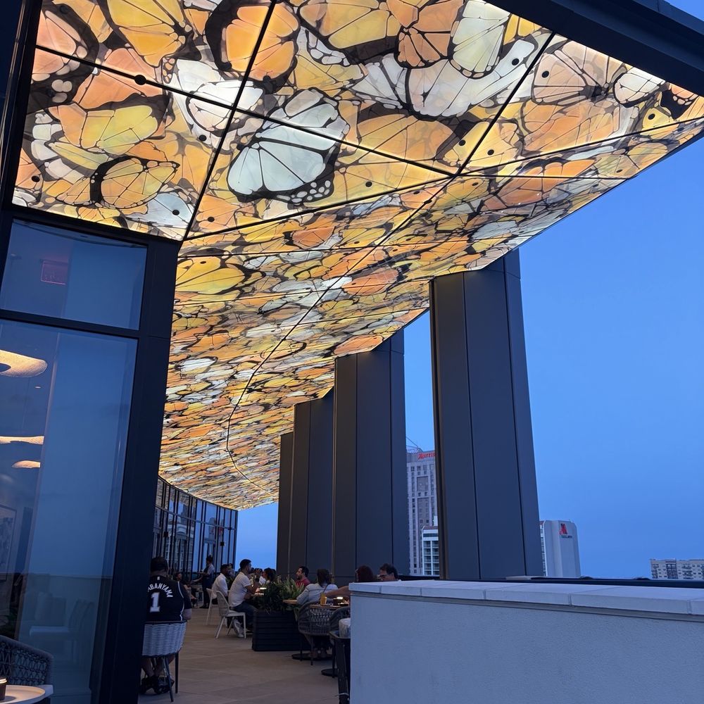Aleteo - Monarch ceiling at outside rooftop bar - Mexican Near Me - San Antonio, Texas Aleteo - Monarch ceiling at outside rooftop bar - Mexican Near Me - San Antonio, Texas