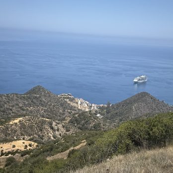 Catalina Island - Tours Near Me - Avalon, California Catalina Island - Tours Near Me - Avalon, California
