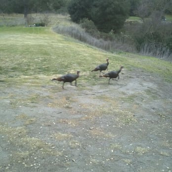 Franklin Canyon Golf Course - Golf Near Me - Hercules, California Franklin Canyon Golf Course - Golf Near Me - Hercules, California