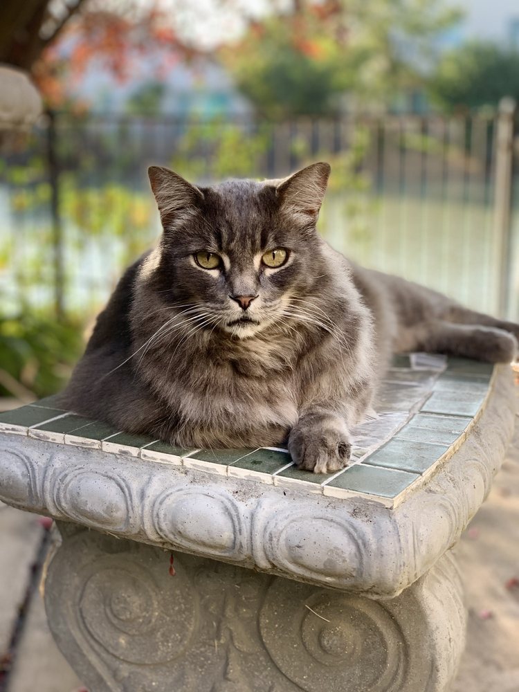 LES SCHWAB TIRE CENTER Updated July 2024 43 Photos & 235 Reviews