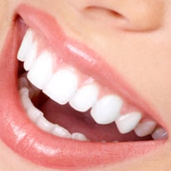Gary D Shue, DDS