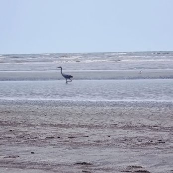 Sea Rim State Park - Parks Near Me - Sabine Pass, Texas Sea Rim State Park - Parks Near Me - Sabine Pass, Texas