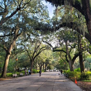 Forsyth Park - Walk way - Parks Near Me - Savannah, Georgia Forsyth Park - Walk way - Parks Near Me - Savannah, Georgia