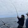 Photo of Prowler Charters