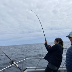 Prowler Charters