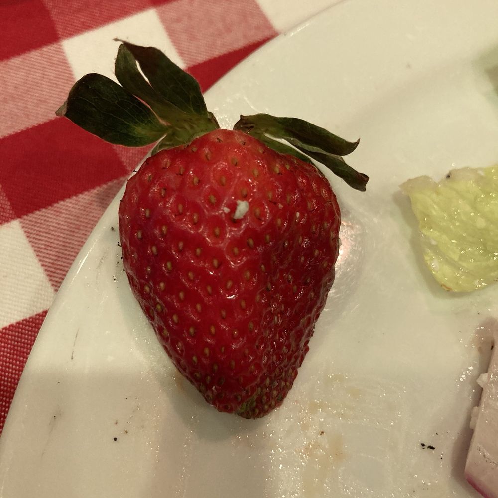 Grimaldi's Pizzeria - The ONLY ripe strawberry - Pizza Near Me - Sparks, Nevada Grimaldi's Pizzeria - The ONLY ripe strawberry - Pizza Near Me - Sparks, Nevada