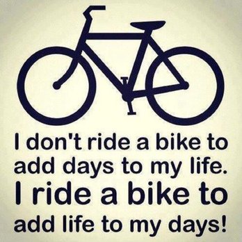 cycles de ORO - Bikes Near Me - Greensboro, North Carolina