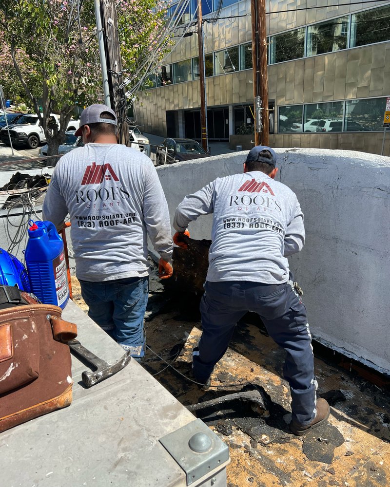 Slide of Roofs of Art