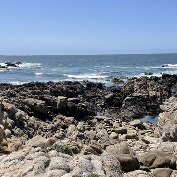 Asilomar State Beach - Parks Near Me - Pacific Grove, California