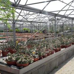 Kakteenland Steinfeld Deutsches Aloe Vera Zentrum