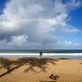 Photo of Kauai Intuitive Astrology
