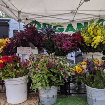 Ojai Farmers' Market - Fruits & Veggies Near Me - Ojai, California Ojai Farmers' Market - Fruits & Veggies Near Me - Ojai, California