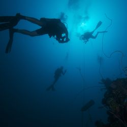 Scuba Steve's Dive Adventures