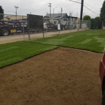 Farm to Lawn - Eddie is the sod God, holy grail of sod. - Nurseries & Gardening Near Me - Redondo Beach, California Farm to Lawn - Eddie is the sod God, holy grail of sod. - Nurseries & Gardening Near Me - Redondo Beach, California