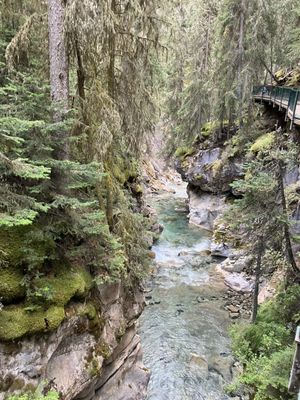 Johnston Canyon by null