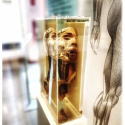 National Museum of Health and Medicine