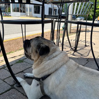 Off the Rail - Enjoying he shade. - Breakfast & Brunch Near Me - Elkhart Lake, Wisconsin