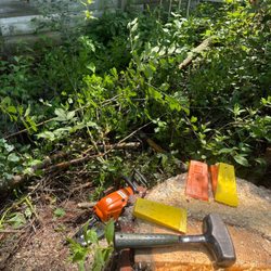 JJ Tree Service