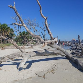 Driftwood Beach - Beaches Near Me - Jekyll Island, Georgia Driftwood Beach - Beaches Near Me - Jekyll Island, Georgia