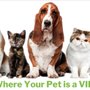 Photo of Worldwide Animal Travel