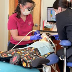Itsy Bitsy Dental