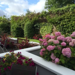 Killarney Lodge Guesthouse - Catherine, the owner, has very green thumb!  Pretty grounds.