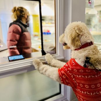 Hello Robin - Paying with the paws paws - Bakeries Near Me - Seattle, Washington